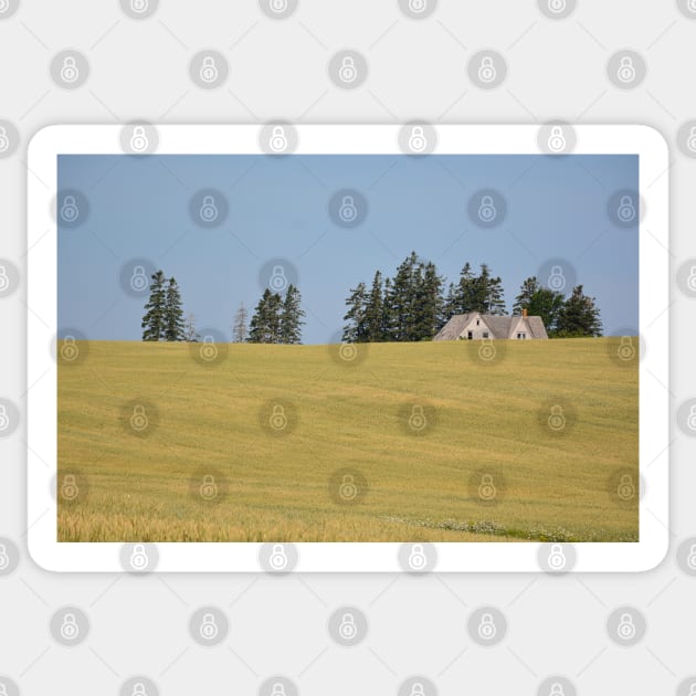 Decaying Farm House sinking in a sea of wheat . Sticker by rconyard